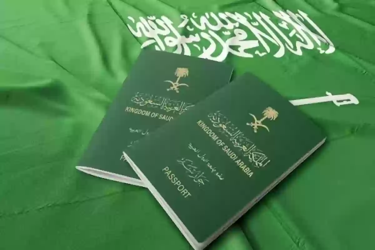 استعلام عن الجوازات المؤشرة برقم الجواز – منصة التأشيرات الإلكترونية وزارة الخارجية