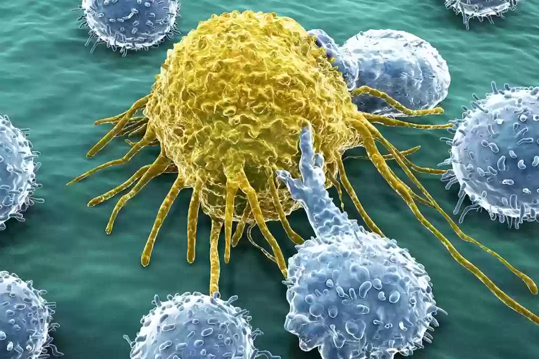  استشاري يكشف عن أطعمة تُساعد في تكون خلايا سرطانية خبيثة!