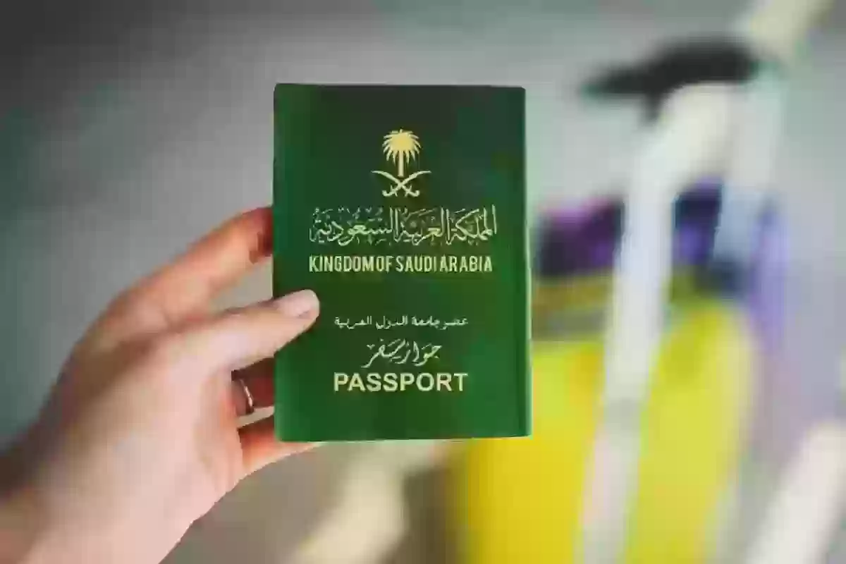 هُنـا | خطوات الاستعلام عن تأشيرة برقم الطلب - منصة التأشيرات