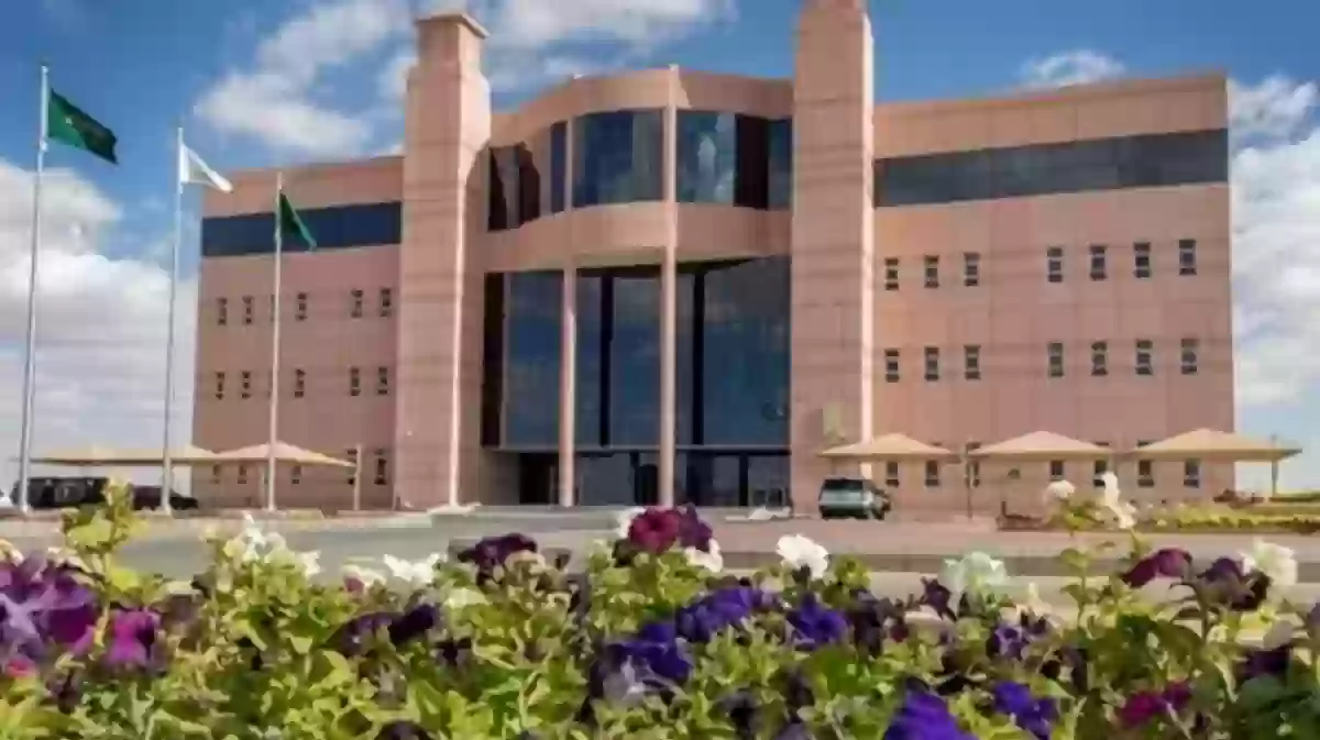 إغلاق التعليم الموازي جامعة طيبة يتسبب في إنهاء عقود ستمائة موظف وموظفة